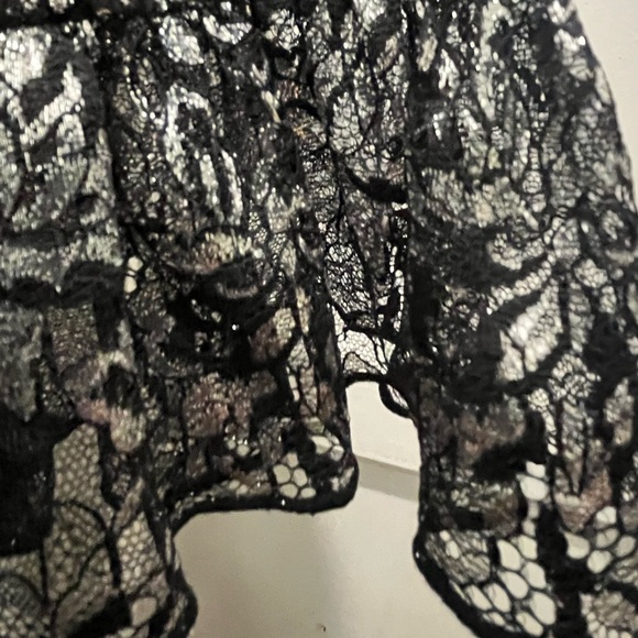 The Vampires Wife x H&M Mystique silver black lace dress size small - Picture 10 of 16
